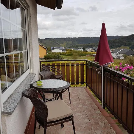 Ferienweinhaus Roemer-knodt *