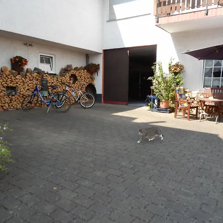 Homestay Ferienweinhaus Roemer-knodt