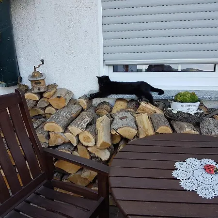 Ferienweinhaus Roemer-knodt Homestay