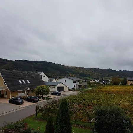 Homestay Ferienweinhaus Roemer-knodt *