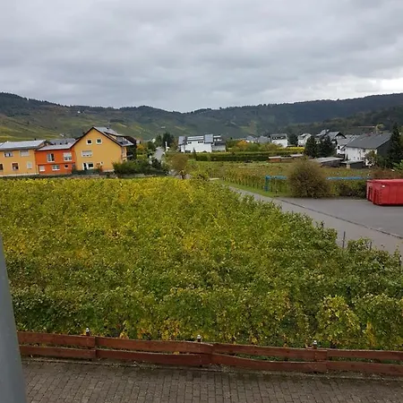 Homestay Ferienweinhaus Roemer-knodt Krov