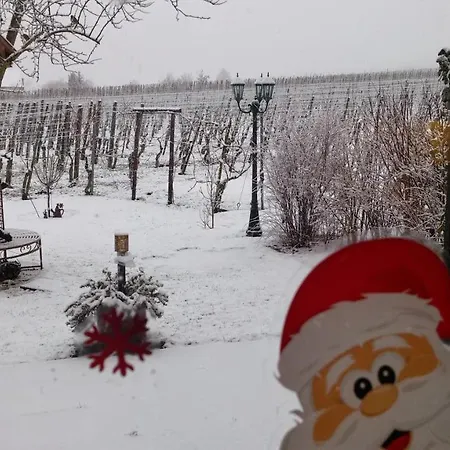 Privat bolig Ferienweinhaus Roemer-knodt *