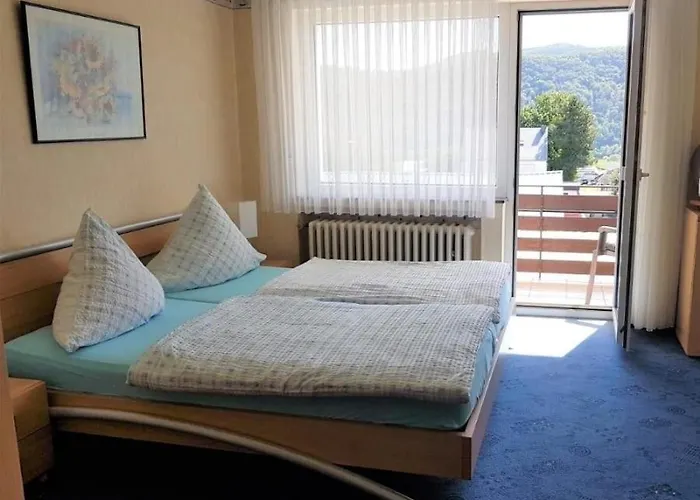 Ferienweinhaus Roemer-knodt *