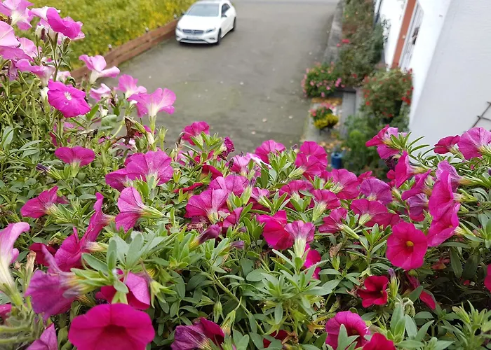 Ferienweinhaus Römer-knodt * Kröv