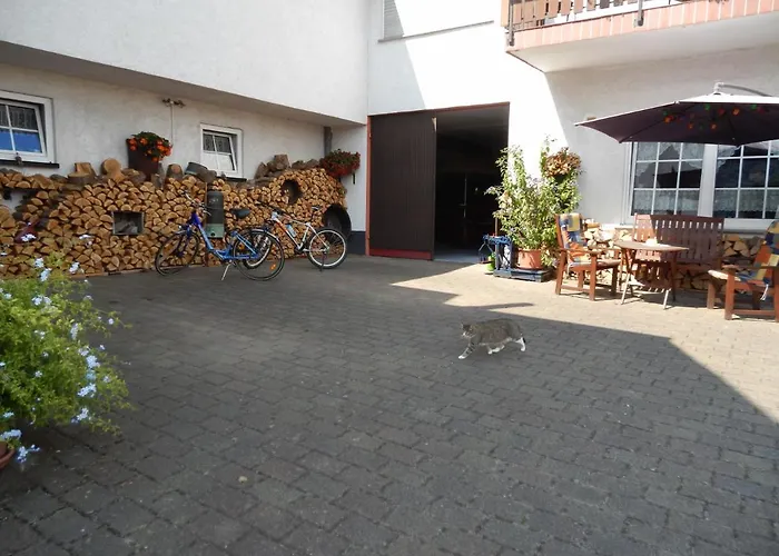 Alloggio in famiglia Ferienweinhaus Roemer-knodt