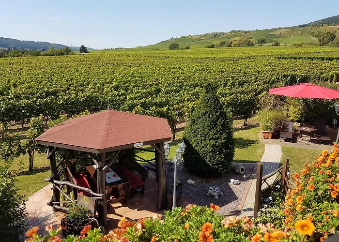 Ferienweinhaus Römer-knodt