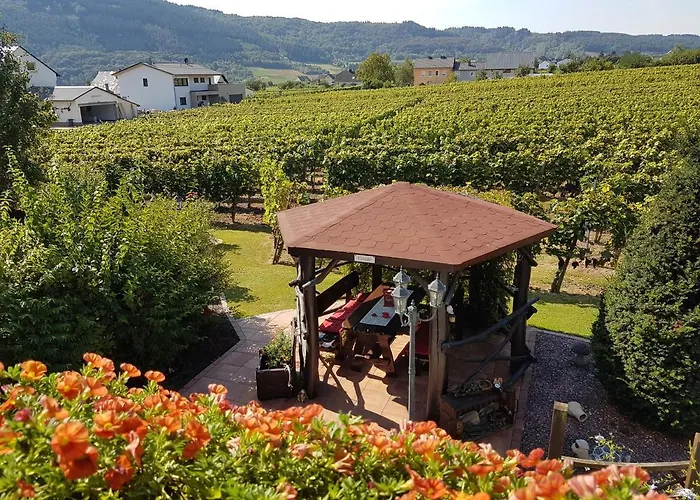 Ferienweinhaus Römer-knodt