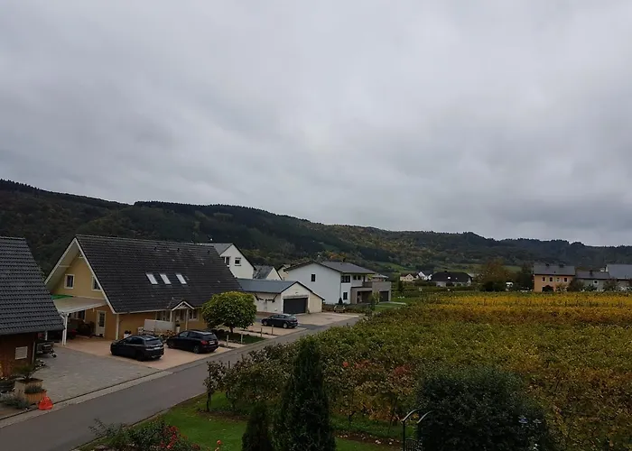 Alloggio in famiglia Ferienweinhaus Roemer-knodt *