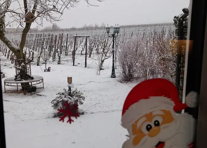 Privatunterkunft Ferienweinhaus Römer-knodt *