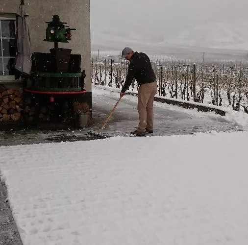 Alloggio in famiglia Ferienweinhaus Roemer-knodt